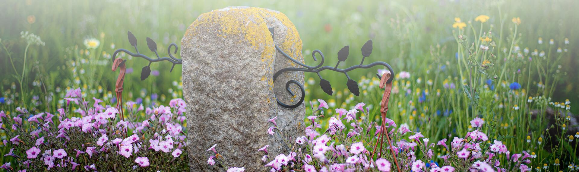 Kamień na polu kwiatów